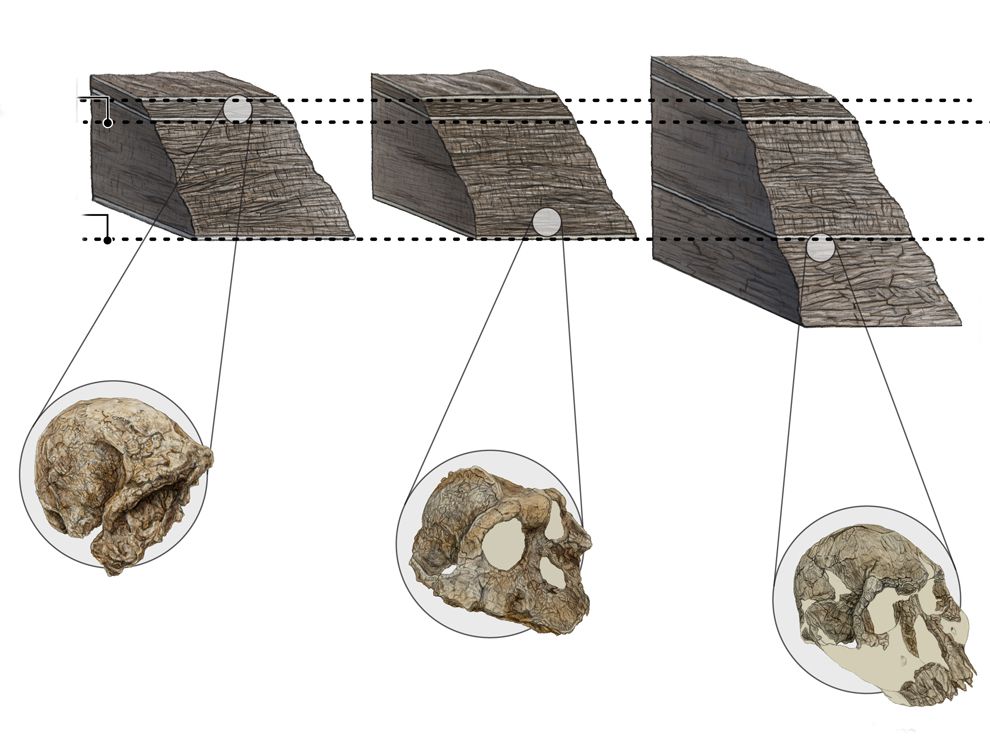 methods of dating fossils in archaeology