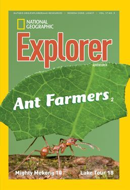 Cover for Adventurer (Grades 5-6) issue 2017-11