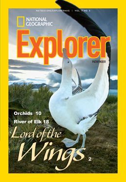 Cover for Pathfinder (Grade 4) issue 2018-03