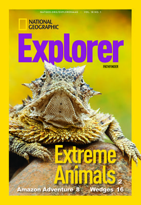 Cover image for issue