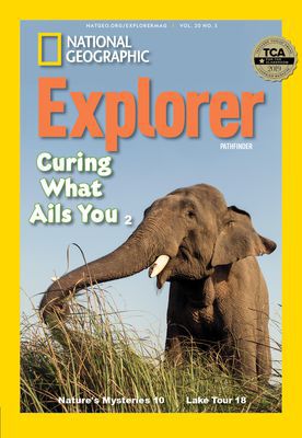 Cover image for issue