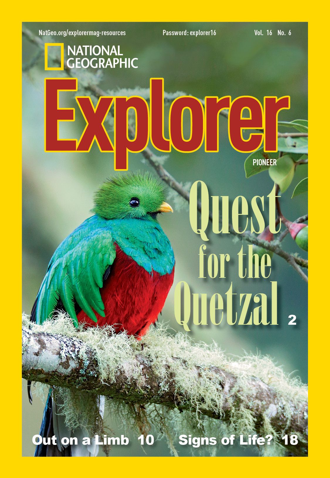 what-is-explorer-magazine-youtube-bank2home