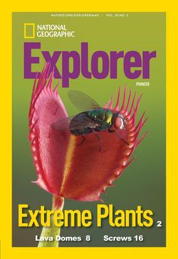 Cover for Pioneer (Grade 2) issue 2018-11