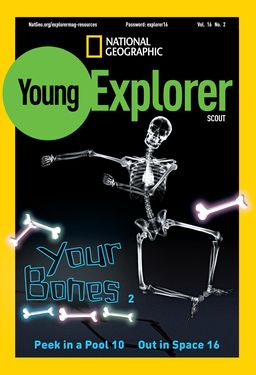 Cover for Scout (K) issue 2016-10