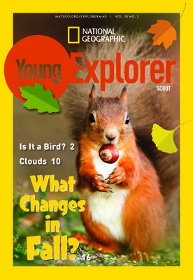 Cover image for issue