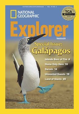 Cover for Trailblazer (Grade 3) issue 2019-10