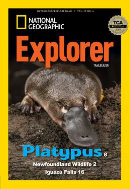 Cover for Trailblazer (Grade 3) issue 2021-03