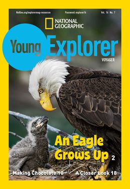 Cover for Voyager (Grade 1) issue 2017-05