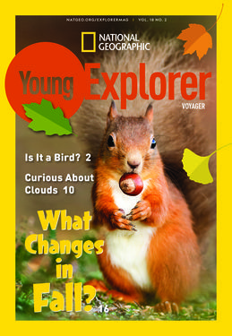 Cover for Voyager (Grade 1) issue 2018-10