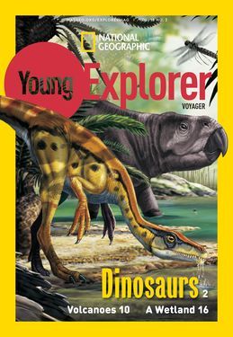 Cover for Voyager (Grade 1) issue 2018-11