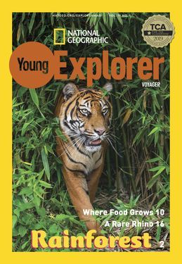 Cover for Voyager (Grade 1) issue 2019-09