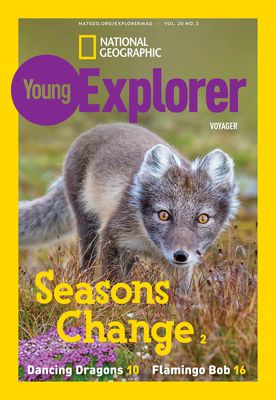 Cover image for issue