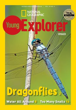 Cover for Voyager (Grade 1) issue 2021-03