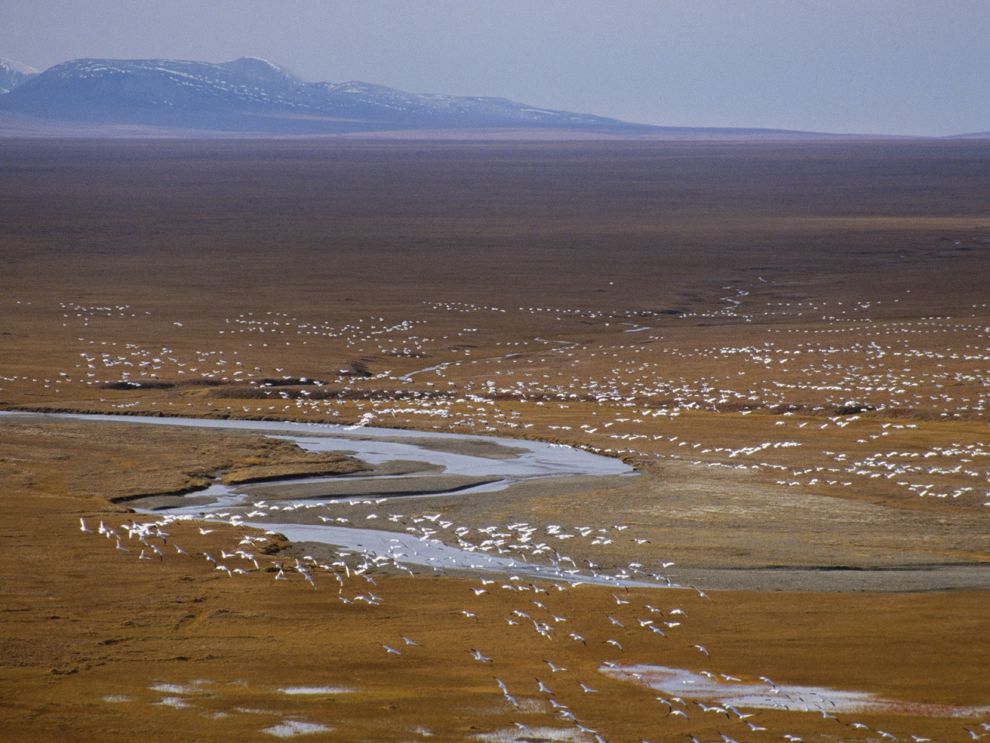 coastal plain National Geographic Society