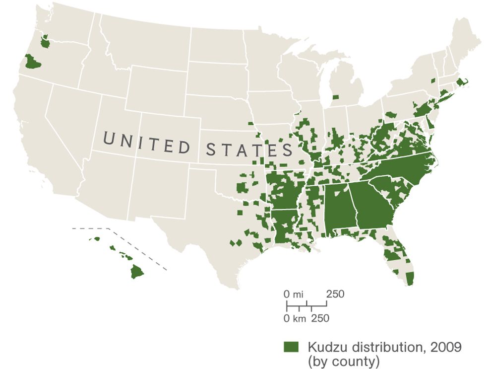 pdf american national identity