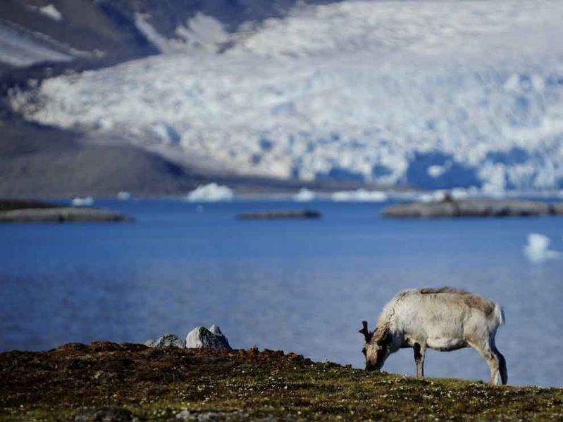 Arctic National Geographic Society