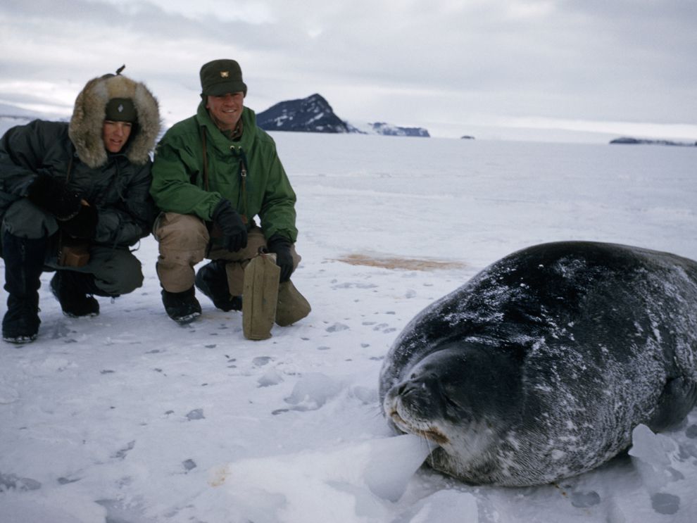 apply 4 online group blubber Society  National Geographic