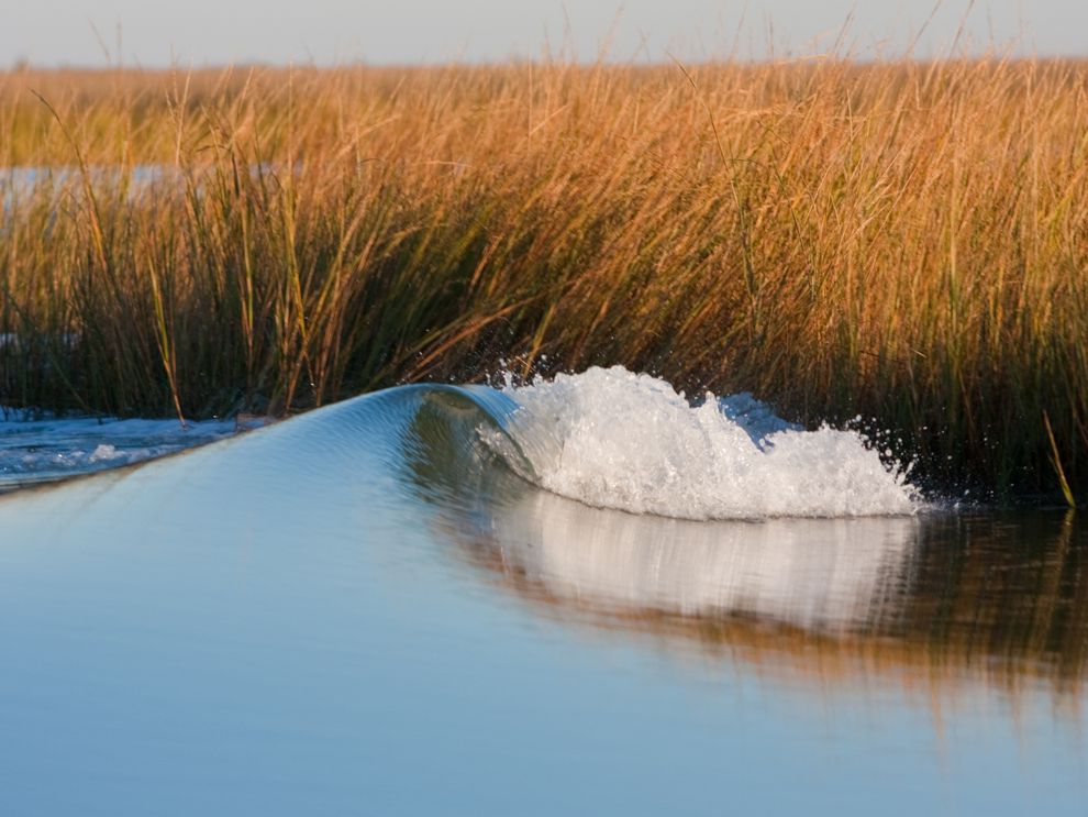 What Are Marshy Areas Called