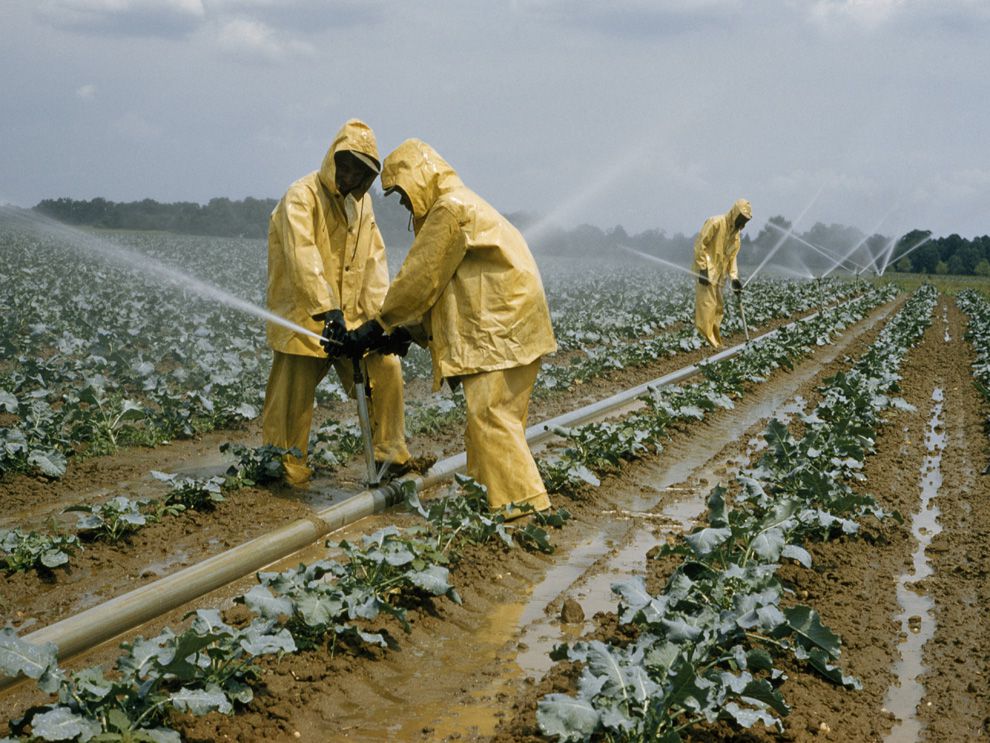 Agriculture | National Geographic Society