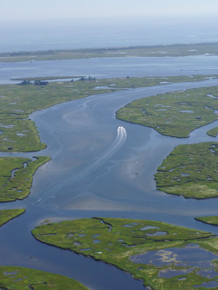 estuary | National Geographic Society