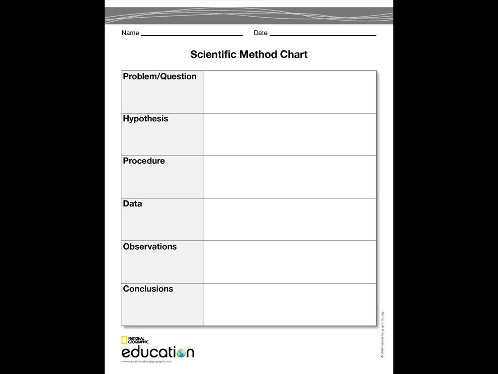 Observation Chart Graphic Organizer