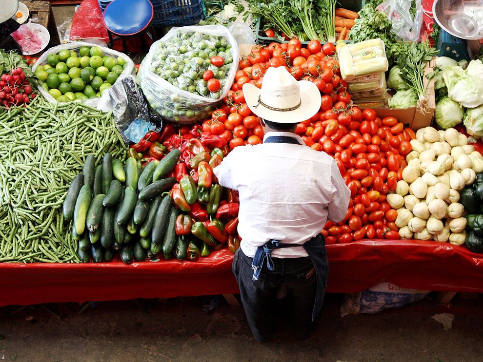 regions that break down foodstuffs mechanically