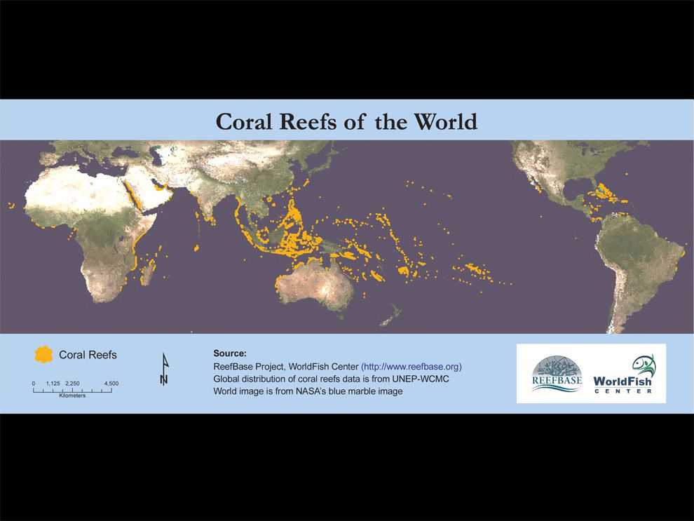 A map displaying worldwide distribution of coral reefs.