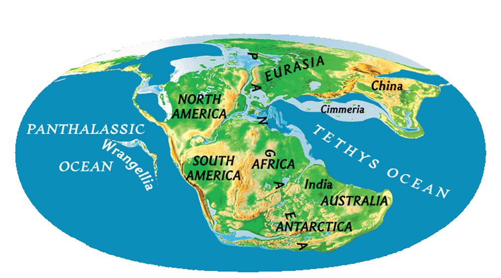 Earth's Shifting Tectonic Plates  National Geographic Society