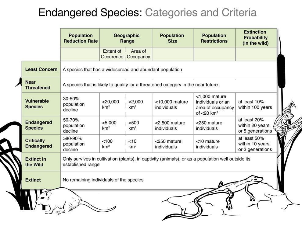 Chart Of Extinct Animals