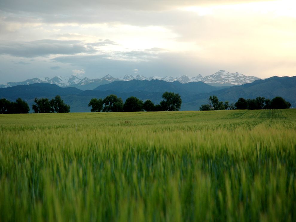 prairie | National Geographic Society