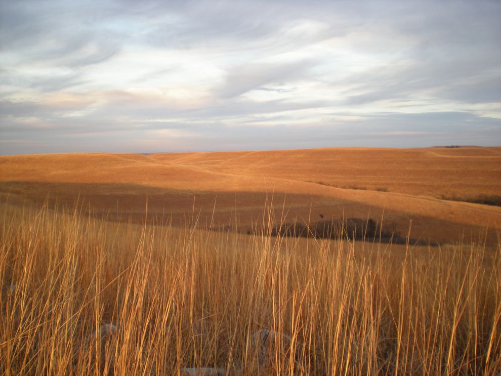 Konza Prairie stretches out near Manhattan, Kansas. The American prairie is a steppe ecosystem. A steppe is a dry, grassy plain that occurs in temperate climates.
