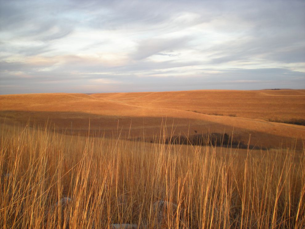 steppe | National Geographic Society