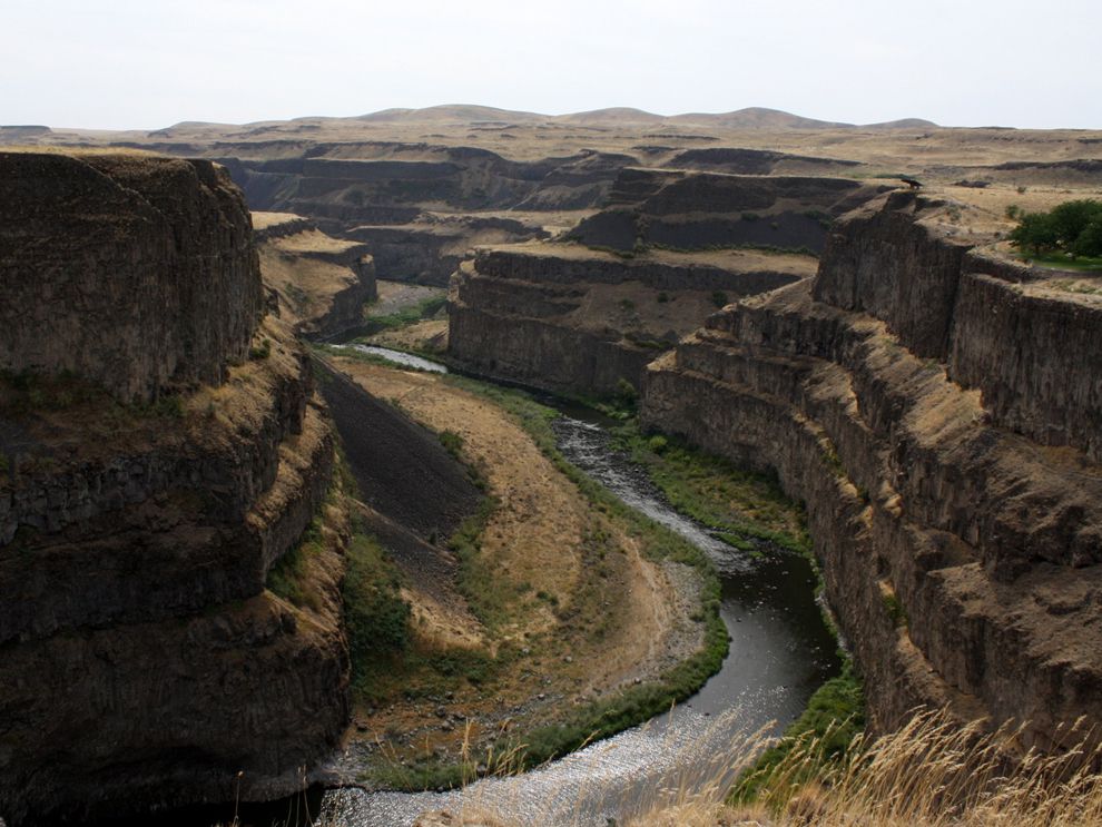 The Palouse River runs through a canyon in southeast Washington. This canyon was probably formed by a combination of tectonic activity and erosion. Tectonic plate movement under the Earth can create landforms by pushing up mountains and hills. Erosion by water and wind can wear down land and create landforms like valleys and canyons. Both processes happen over a long period of time, sometimes millions of years.