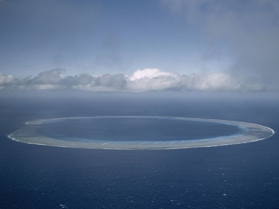 Animals and creatures in the marshall islands