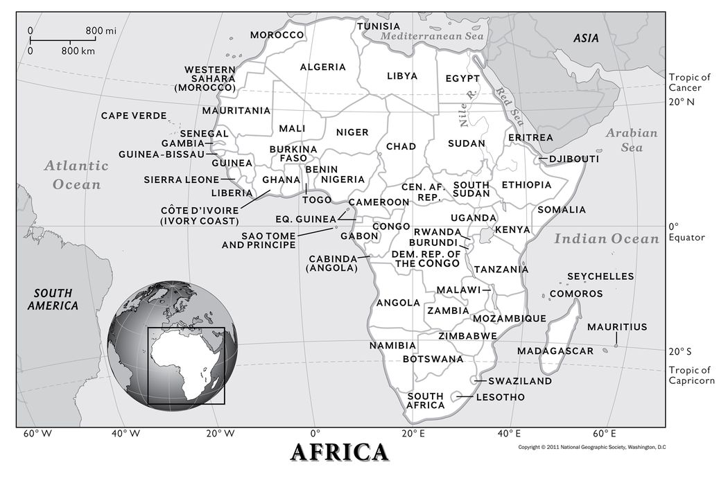 an image of africa summary