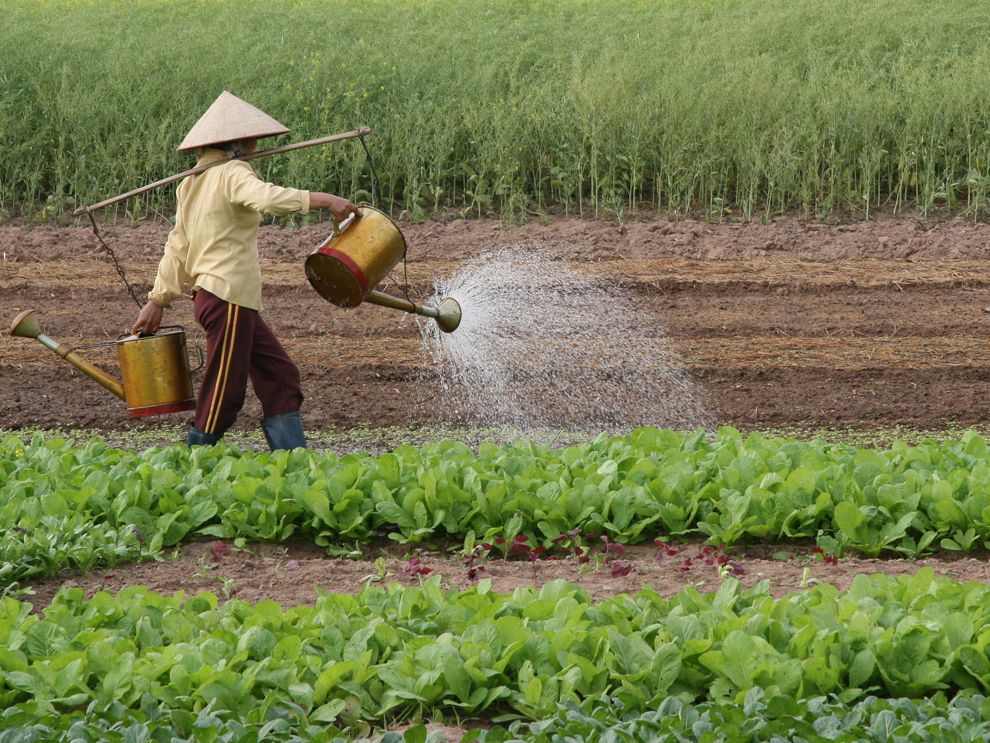 Crops National Geographic Society