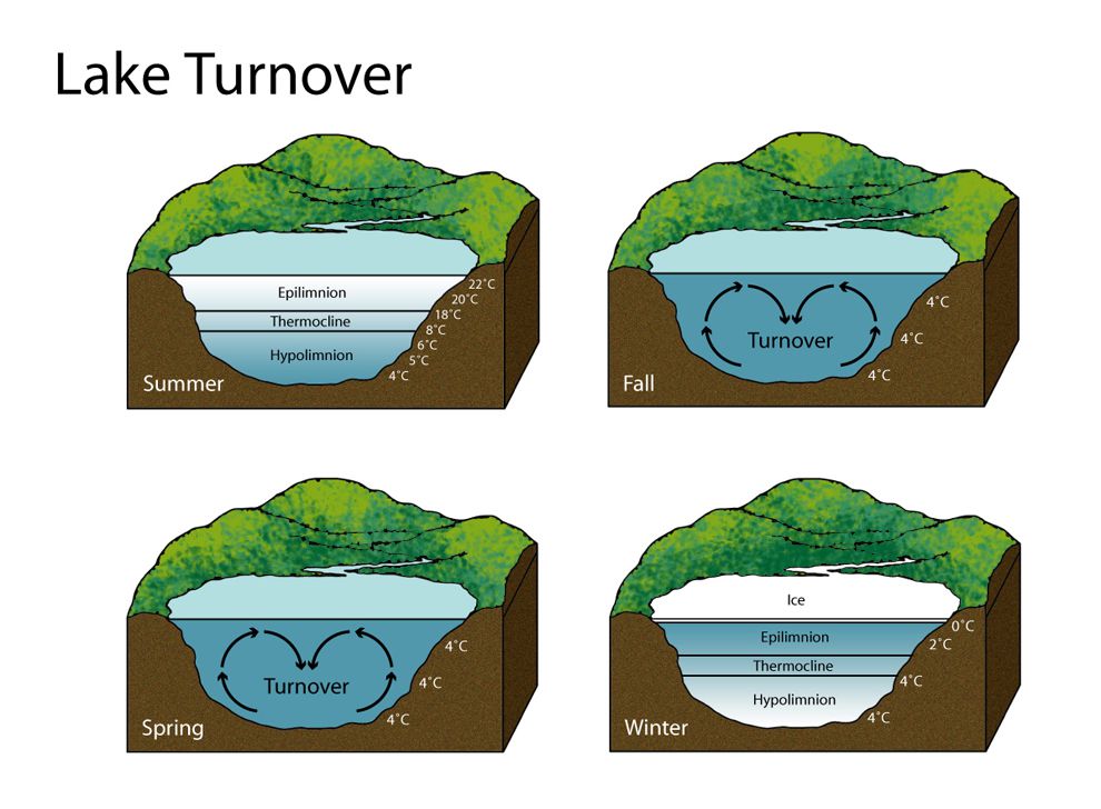 conditions lead to monomictic lake turnover