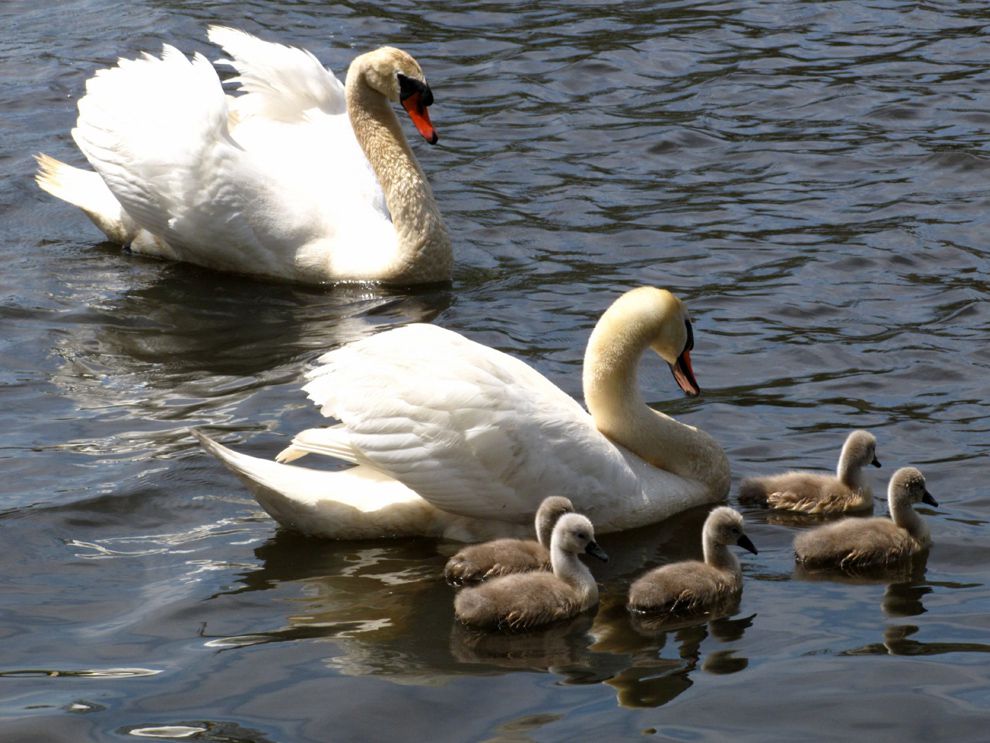 Lake National Geographic Society