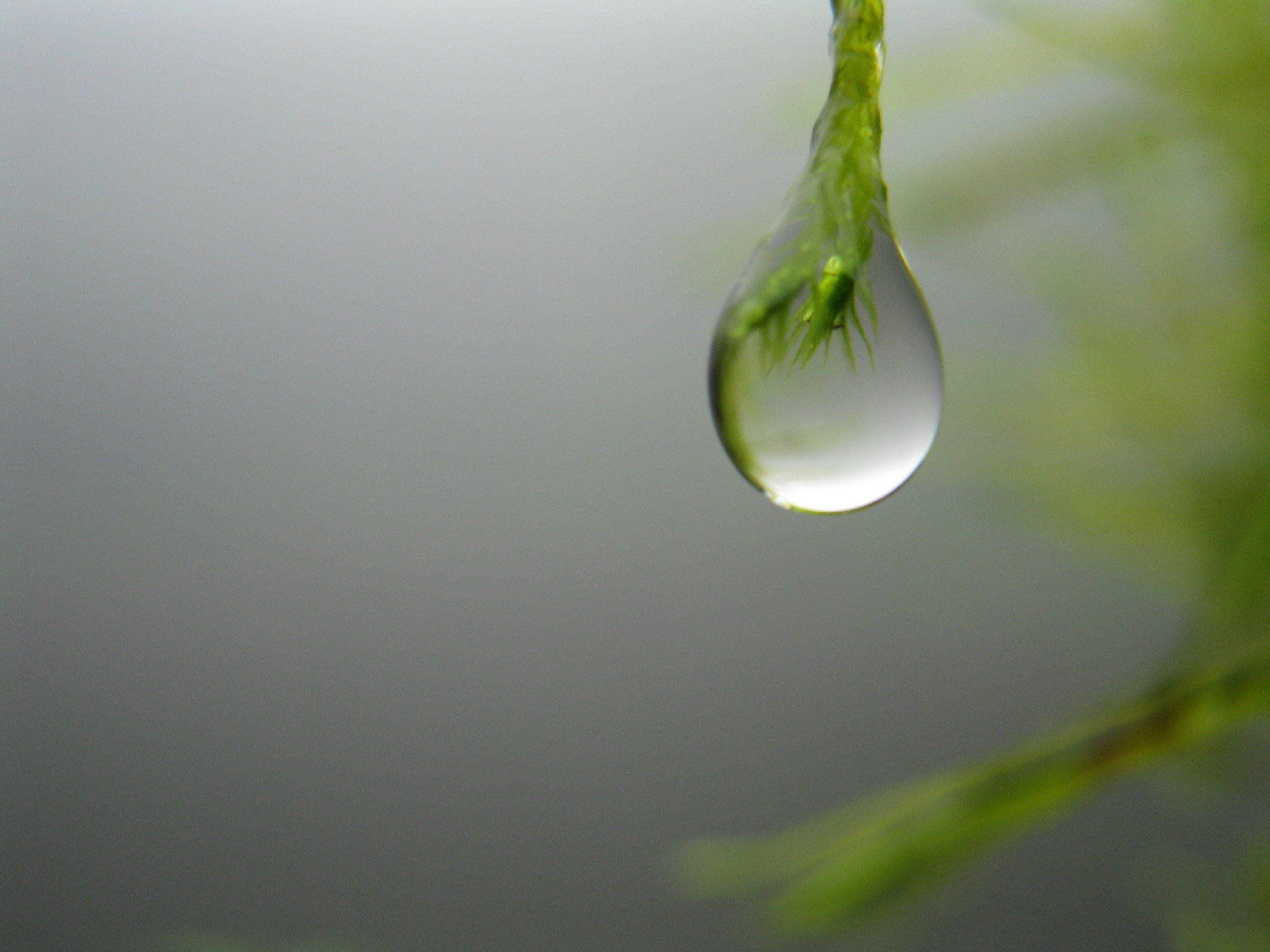 Earth S Water Cycle National Geographic Society