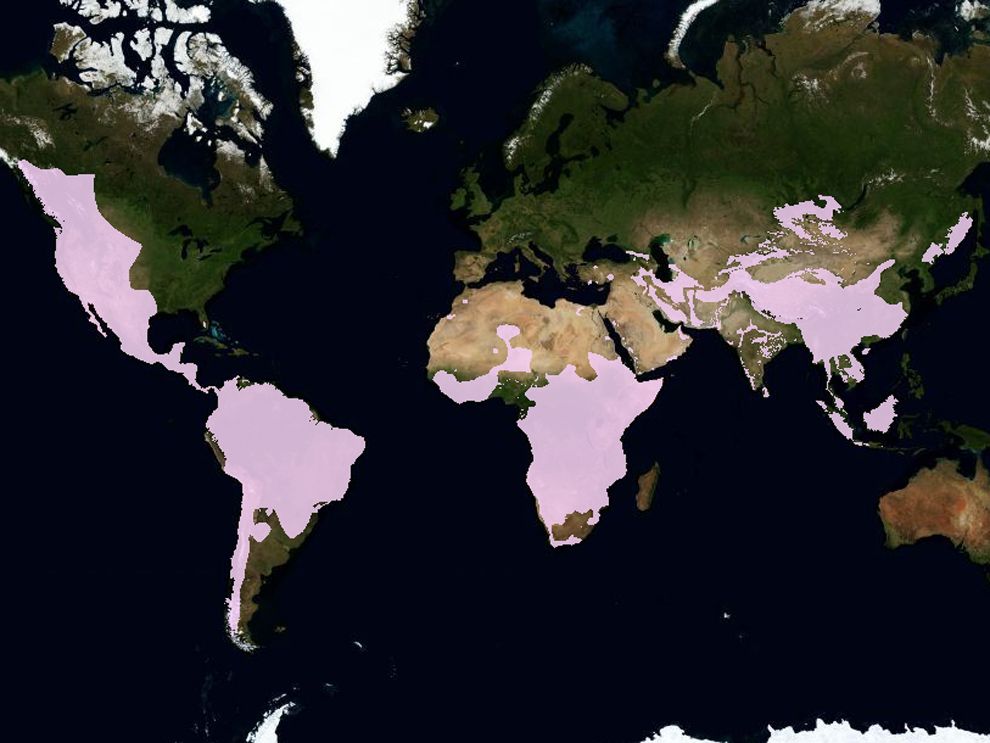 Species Range National Geographic Society