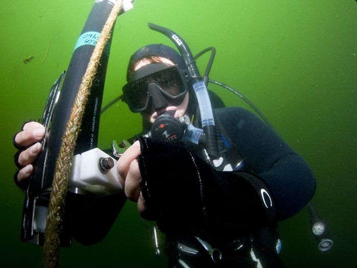 Photo: Scuba diver holds a tool.