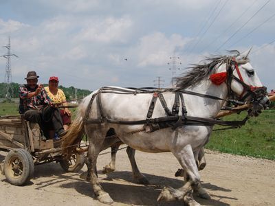Photo: Farmers traveling  by horse