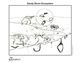 Sandy Shore Ecosystem