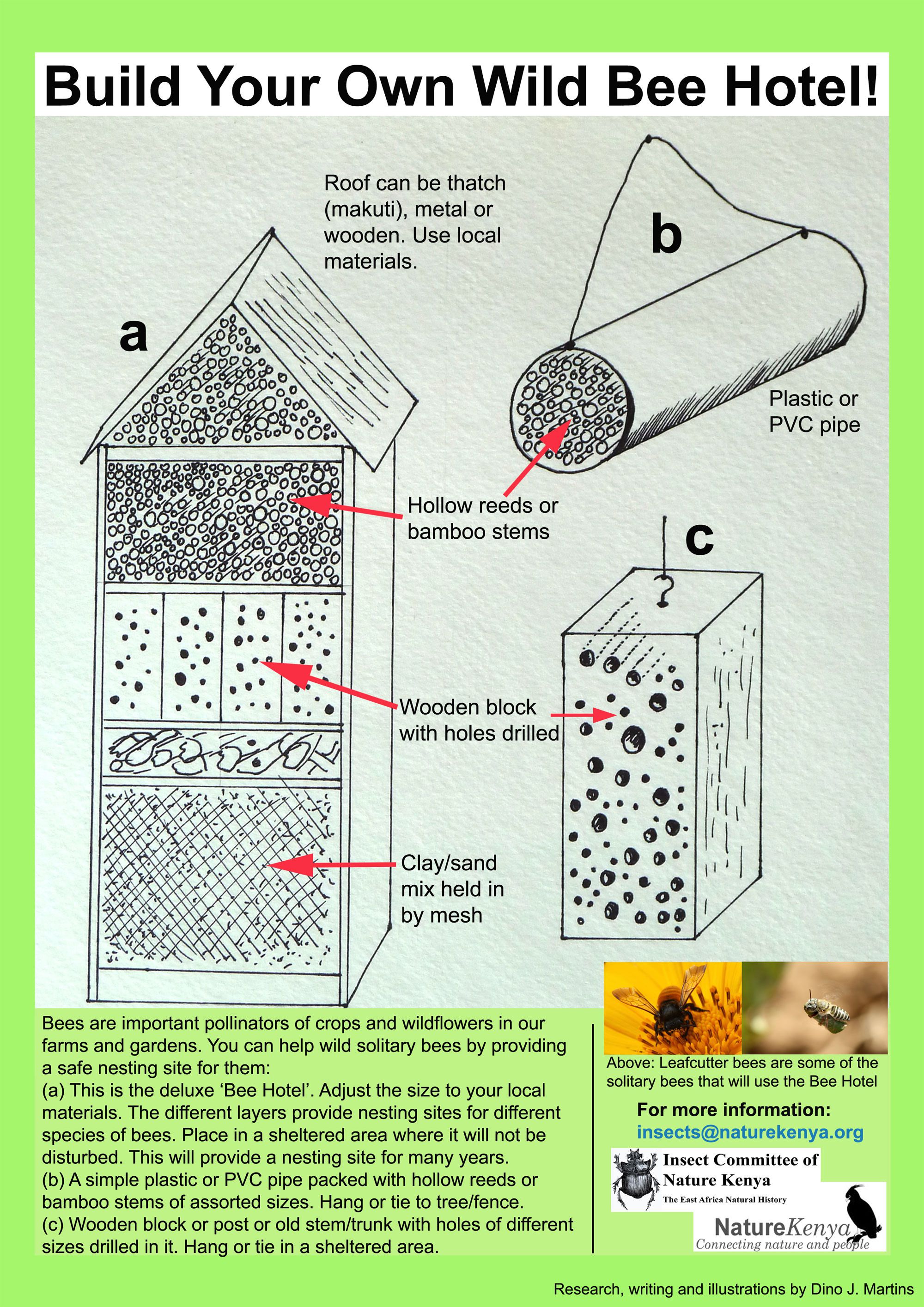 Build Your Own Bee Hotel | National Geographic Society