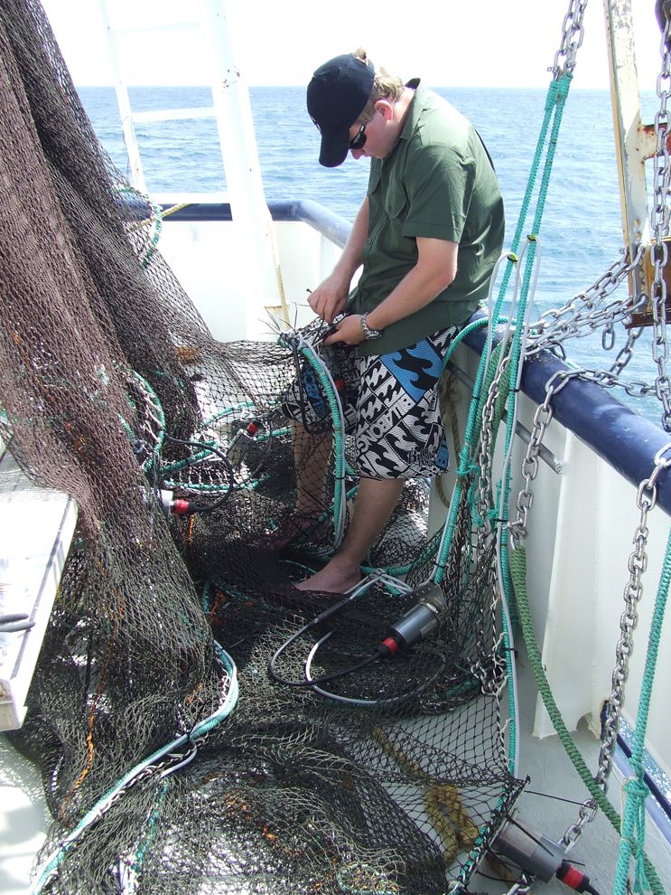 School essay on newfoundland fishery