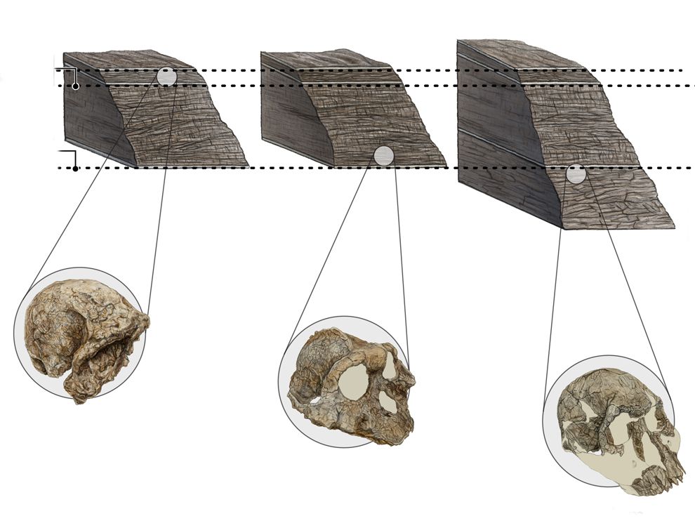 Dating Fossils In The Rocks National Geographic Society