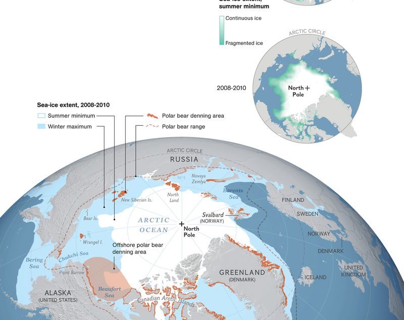 Arctic circle on Map. Polar Bear population. Полярный круг на карте Европы.