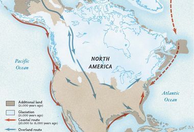 North American Species Migration Map | National Geographic Society