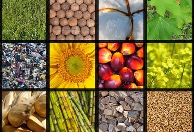 Crops | National Geographic Society