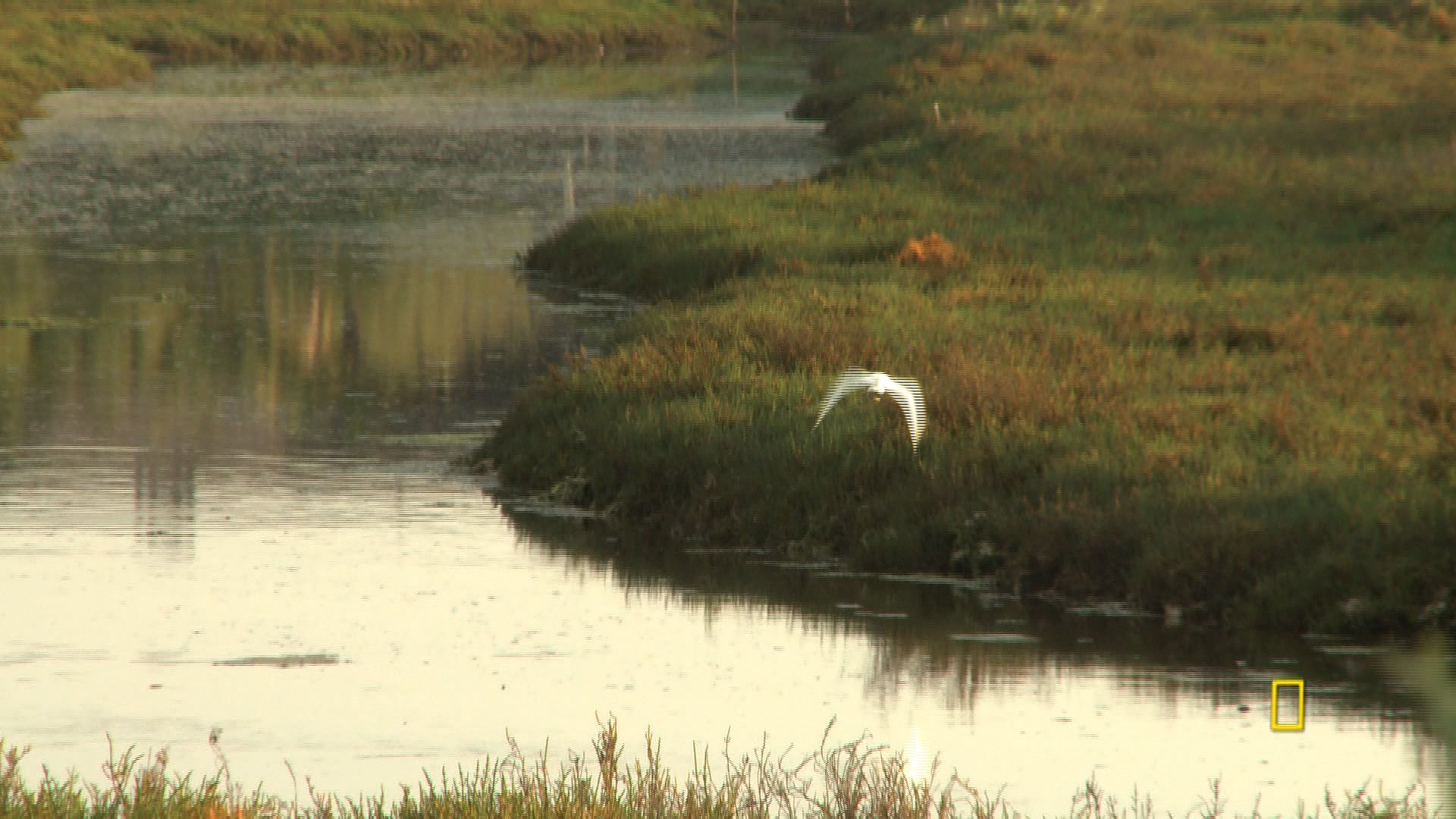 surviving-climate-change-national-geographic-society